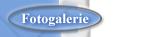 Fotogalerie