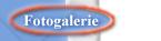 Fotogalerie